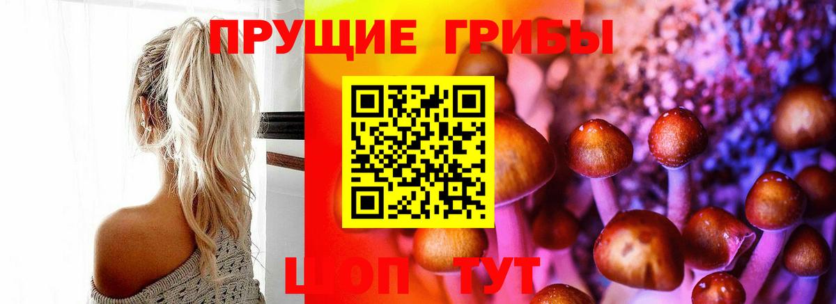 Псилоцибиновые грибы прущие грибы  Вход с VPN  Нижнекамск 